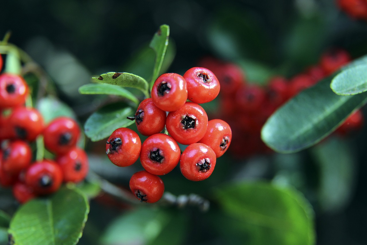 红军球迷？美国新任联邦调查局局长佩戴了一条利物浦主题领带.