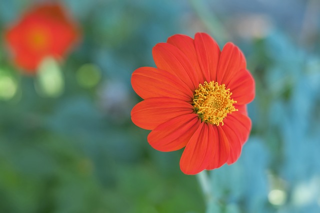 我们不难理 我们不难理