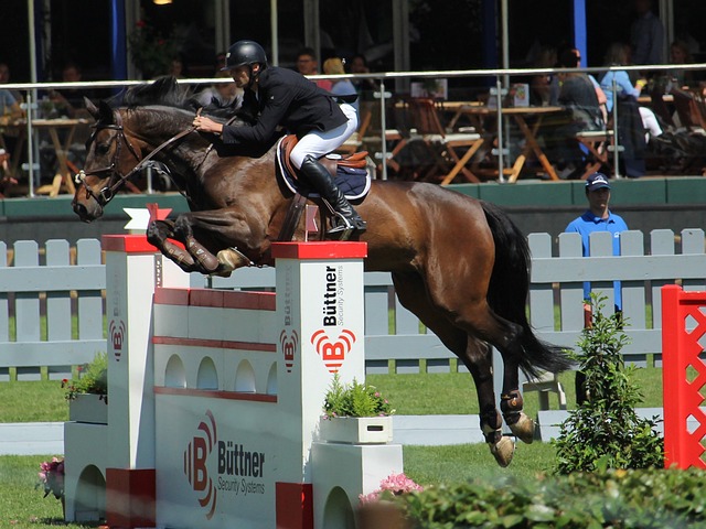 乐部未来可 乐部未来可