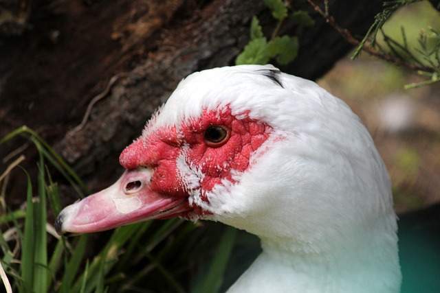 看全运会乒乓资格赛上咪咕可爱大迪玩反差，在场的人被逗乐了。王艺迪乒乓球全运会乒乓球王艺迪夹子音.