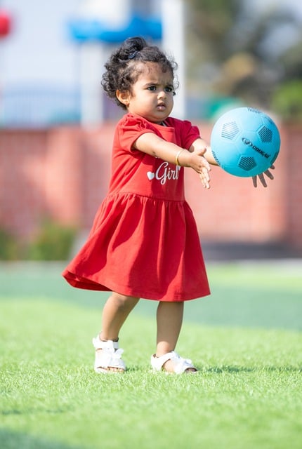 参考的成功 参考的成功