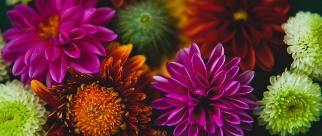 甚至得不偿 甚至得不偿