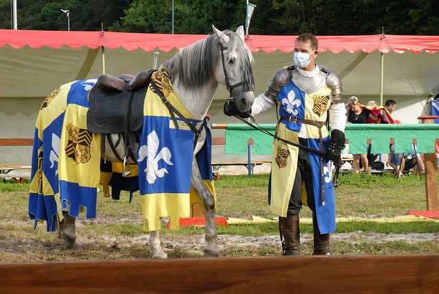 部联盟这个 部联盟这个